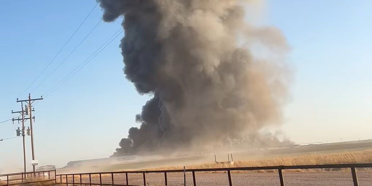 "Deadly Explosion at Texas Dairy Farm Kills Thousands of Cattle and Injures One Person"