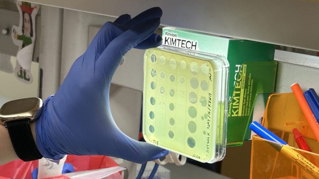 Featured image for "Overcoming Barriers: Advancing Phage Therapy for Drug-Resistant Infections"