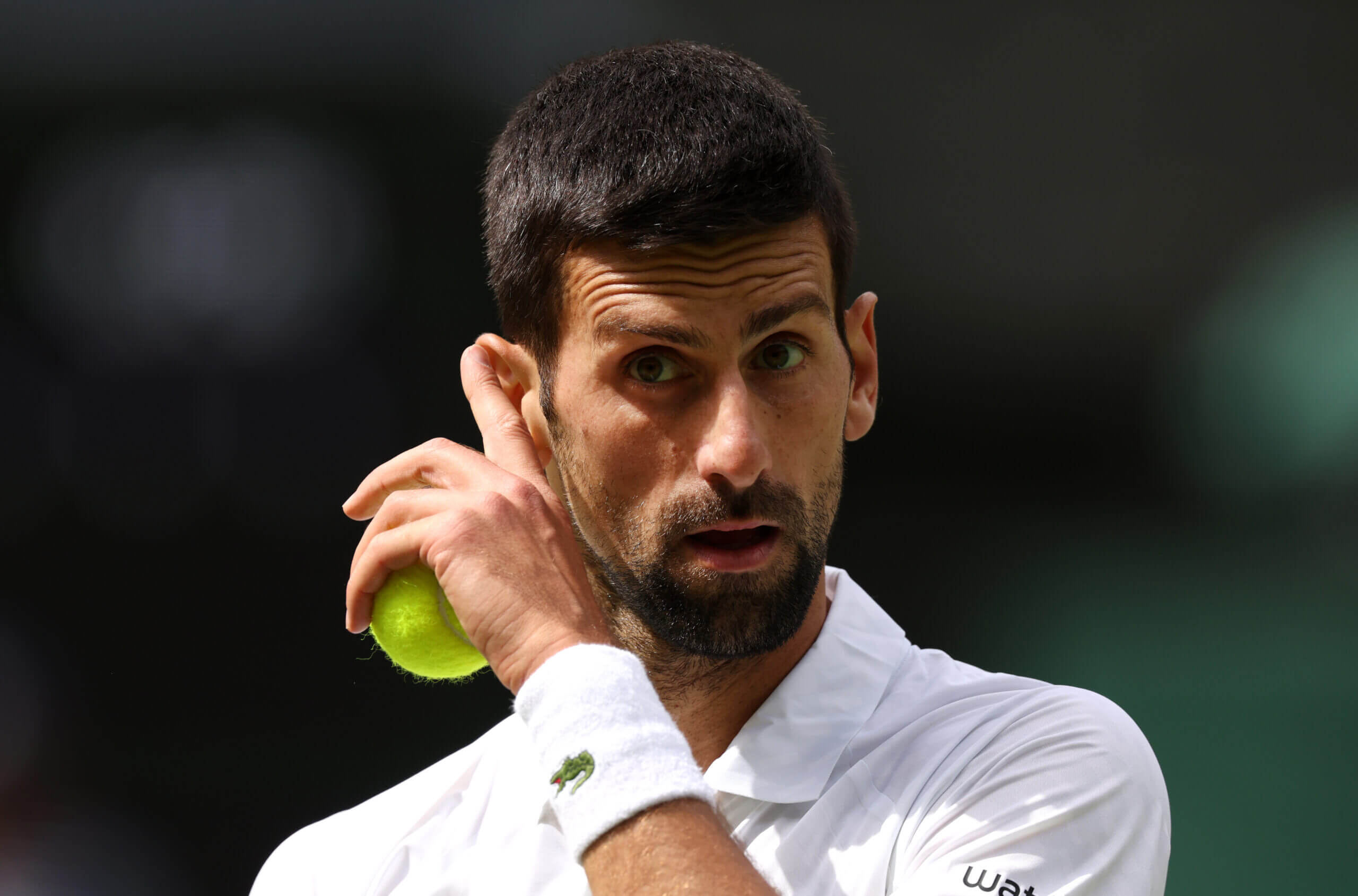 "Top Tennis Stars to Compete in Saudi Arabia Exhibition"