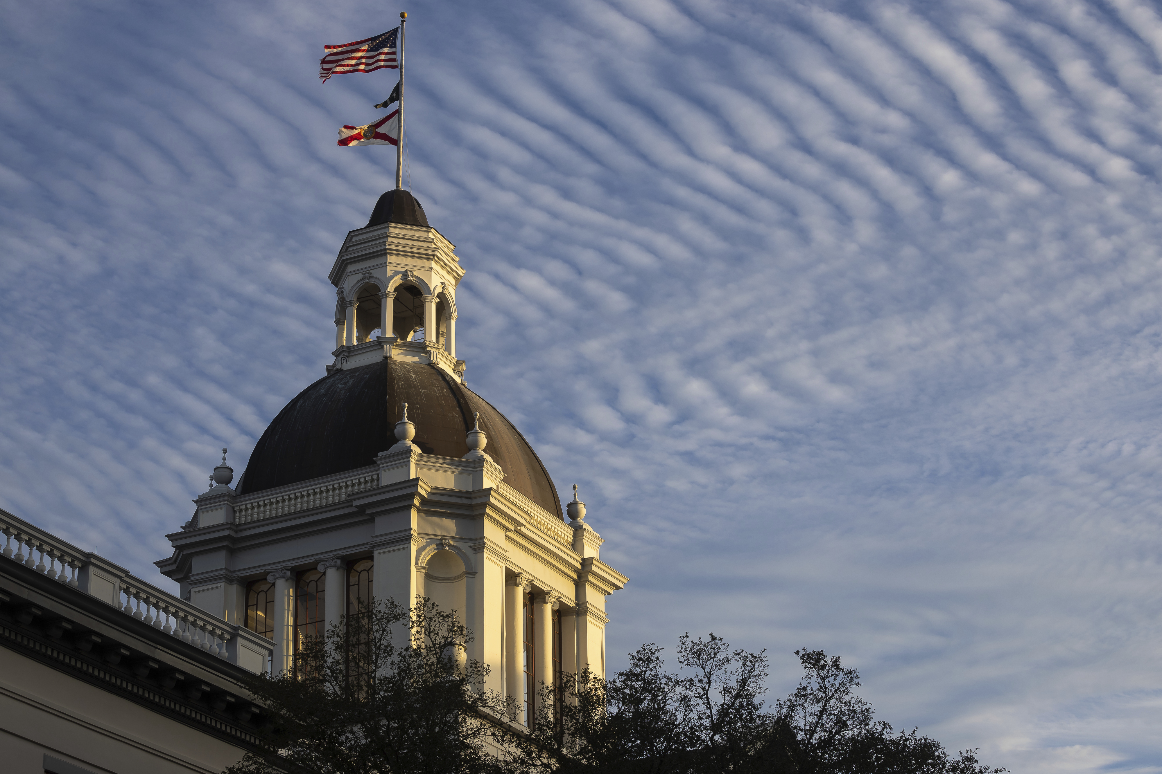 "Florida's 'Unborn Child' Bill Suspended Amid IVF and Abortion Concerns"
