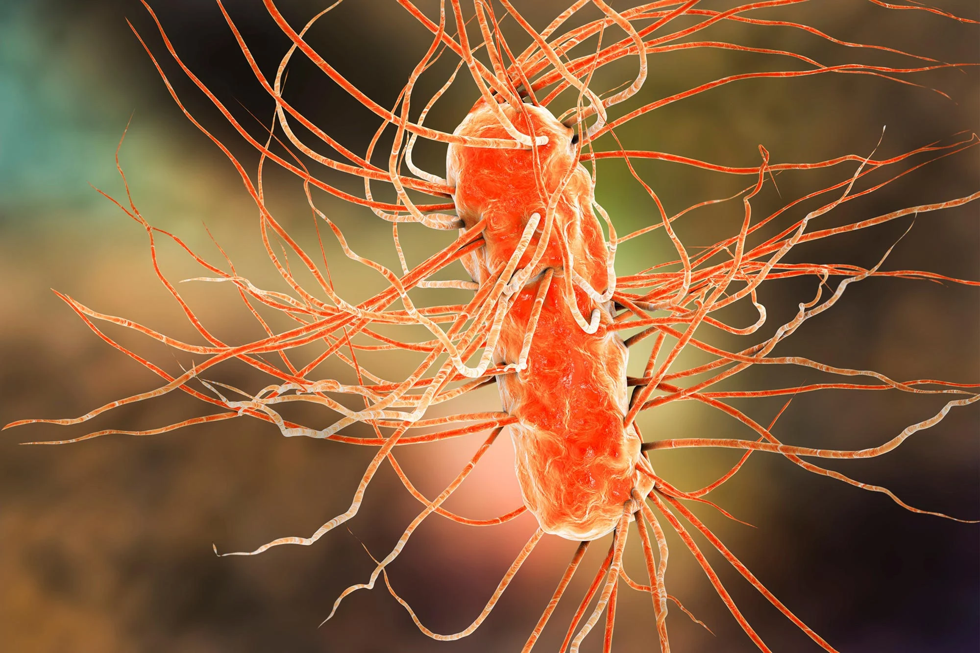 Featured image for Breakthrough Antibiotic Offers Hope Against Superbugs