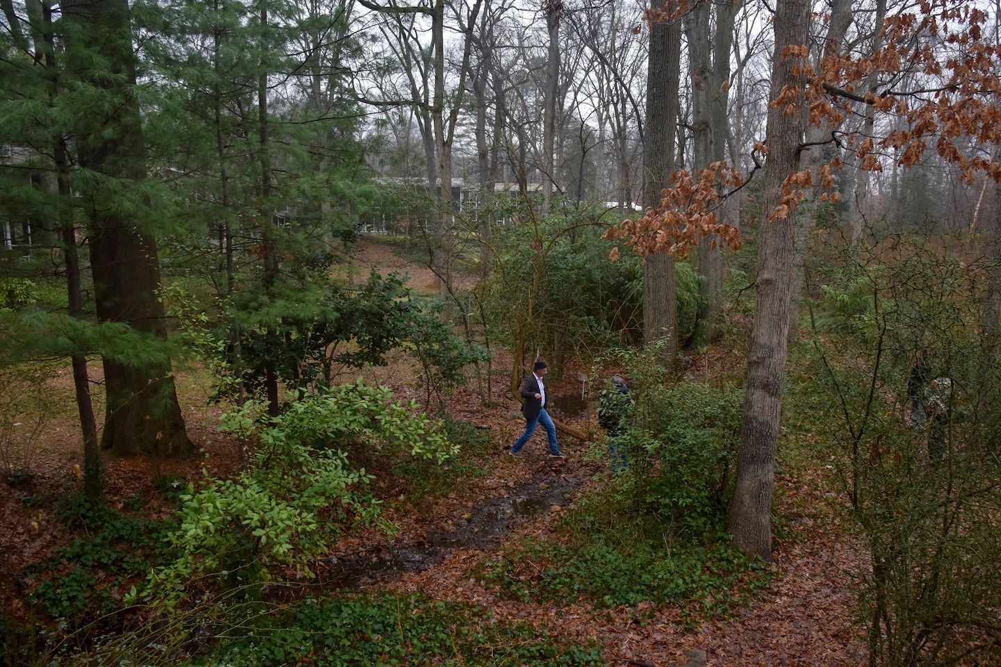 Featured image for The Life-Extending Benefits of Living near Green Spaces