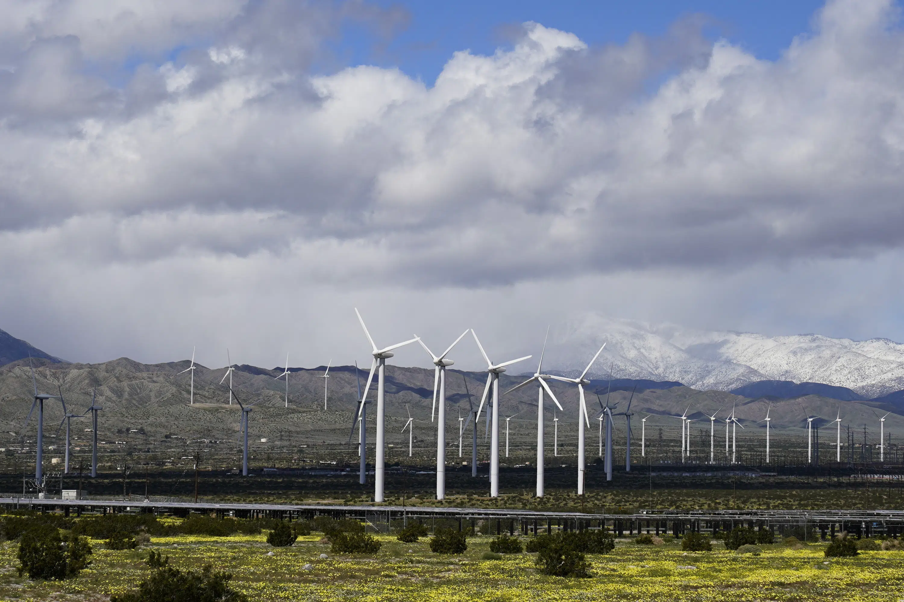 Renewable Energy Overtakes Coal as Primary Electricity Source in US.