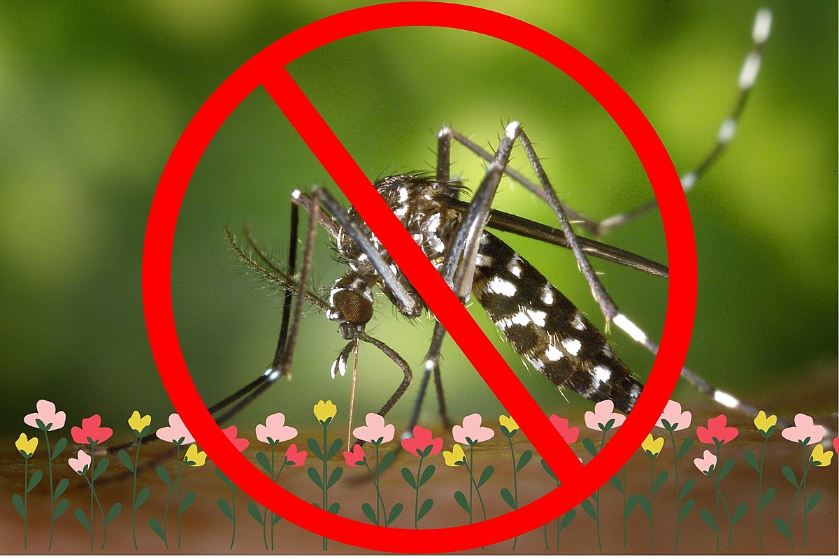 NJ Flowers: Natural Mosquito Repellents All Season Long