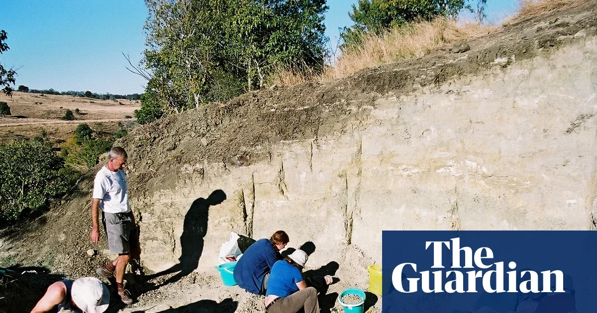 Ancient Crocodile Eggshells Discovered in Queensland Backyard