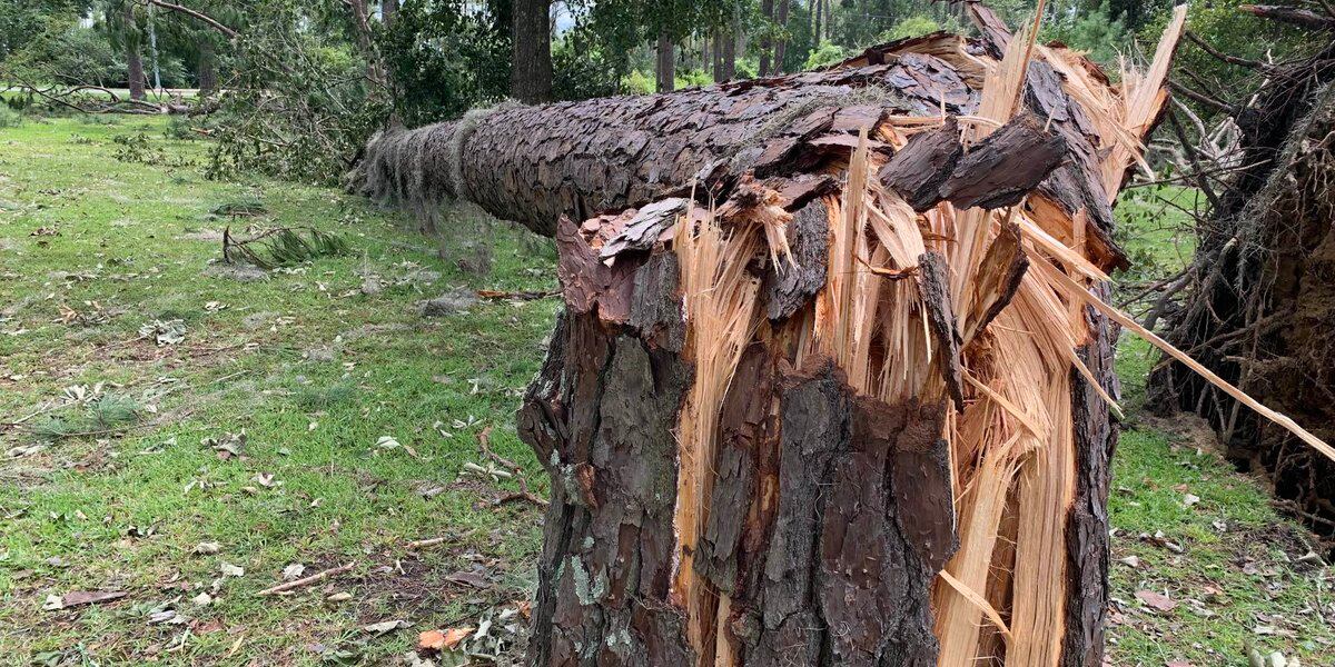 Idalia's Devastation: Georgia Man's Tragic Death Highlights Recovery Efforts
