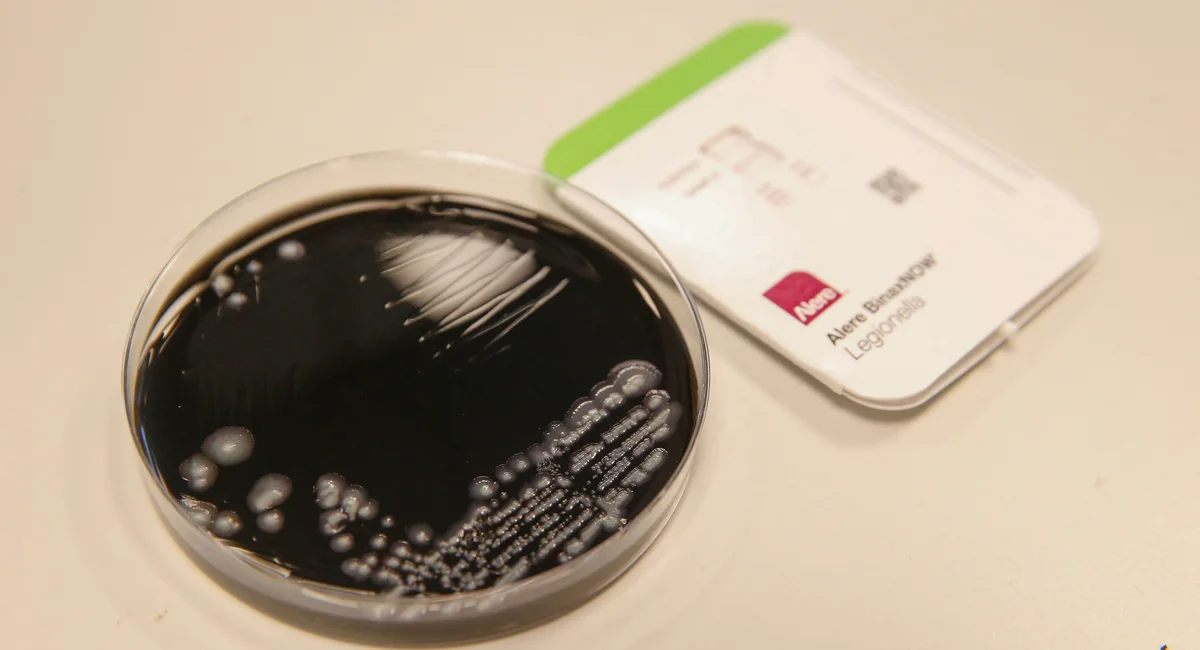 Featured image for NYC Legionnaires' Outbreak: Deadly Cluster and Cooling Tower Concerns