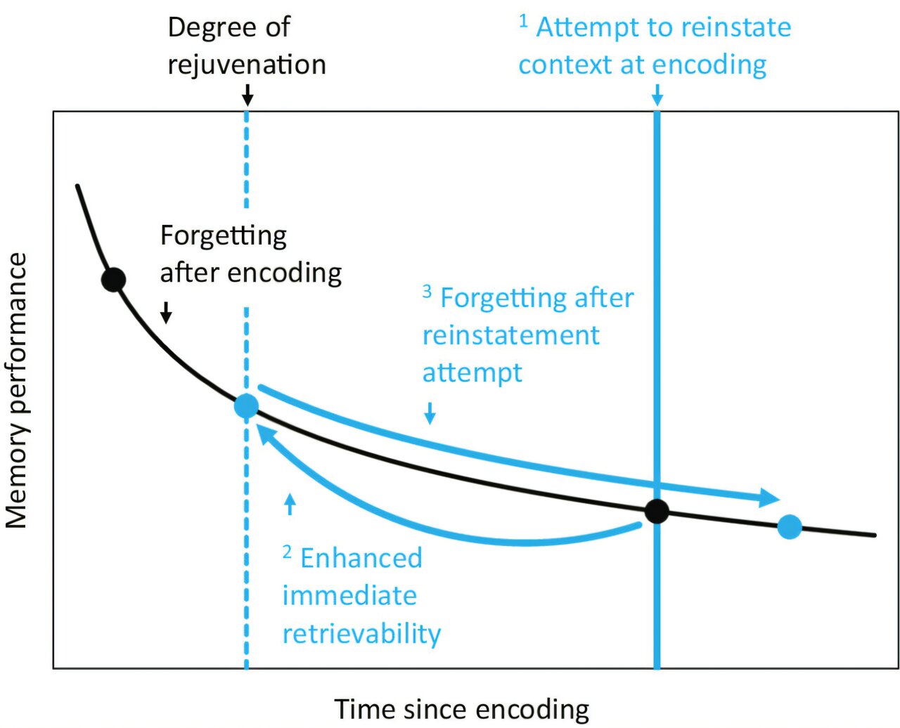 Featured image for Mental 'Time Travel' Technique Enhances Memory Recall and Restoration