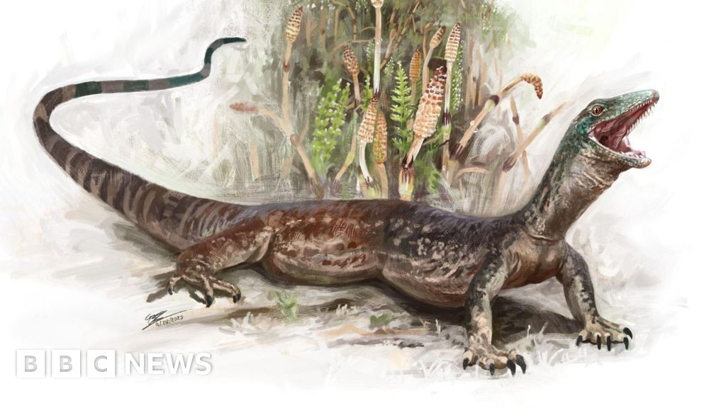 Featured image for Ancient Skye Fossil Blurs Line Between Lizards and Snakes