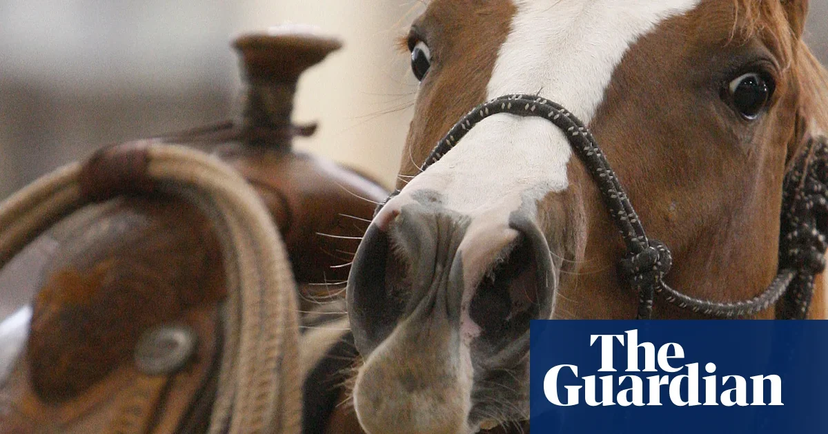 Two-Tone Whinny: Horses Whistle While They Speak