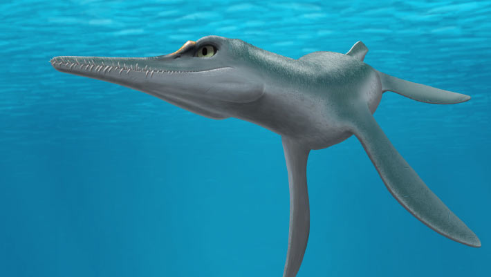 Featured image for "Discovery of a New Plesiosaur Species in the US"