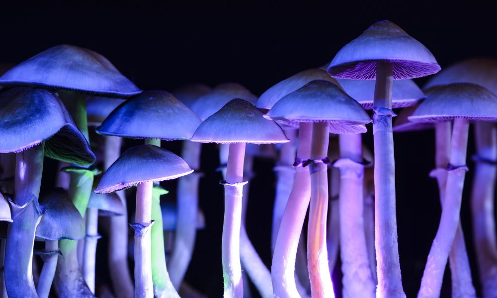 Featured image for "Comparing Natural vs. Synthetic Psilocybin: Unveiling Enhanced Therapeutic Effects"