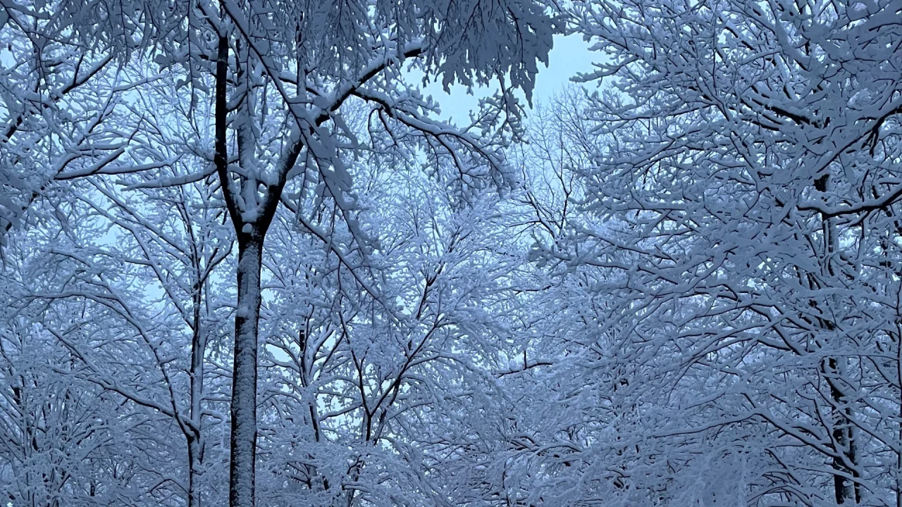 Featured image for "Snowy Week Ahead: Metro Detroit Braces for Weekend Flurries and Midweek Storm"
