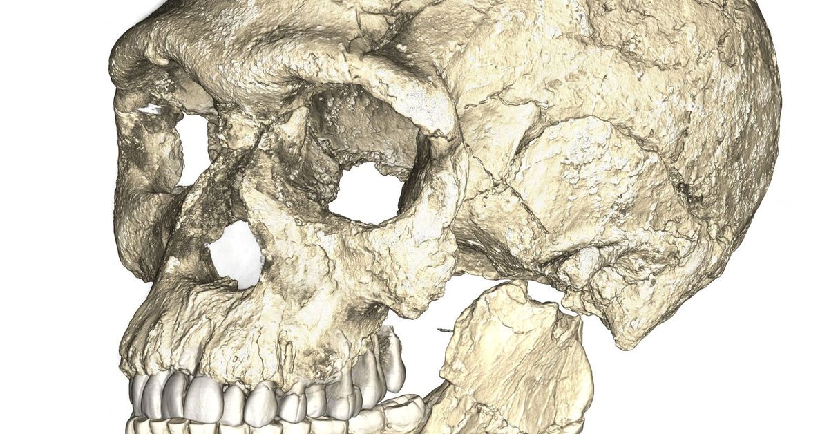 Featured image for "Revisiting the Origins of Homo sapiens: Insights from Genome Data and DNA Research"