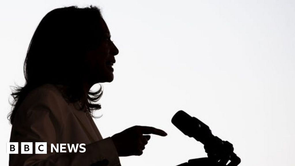 Democrats Reassess Strategy After Harris's Defeat to Trump