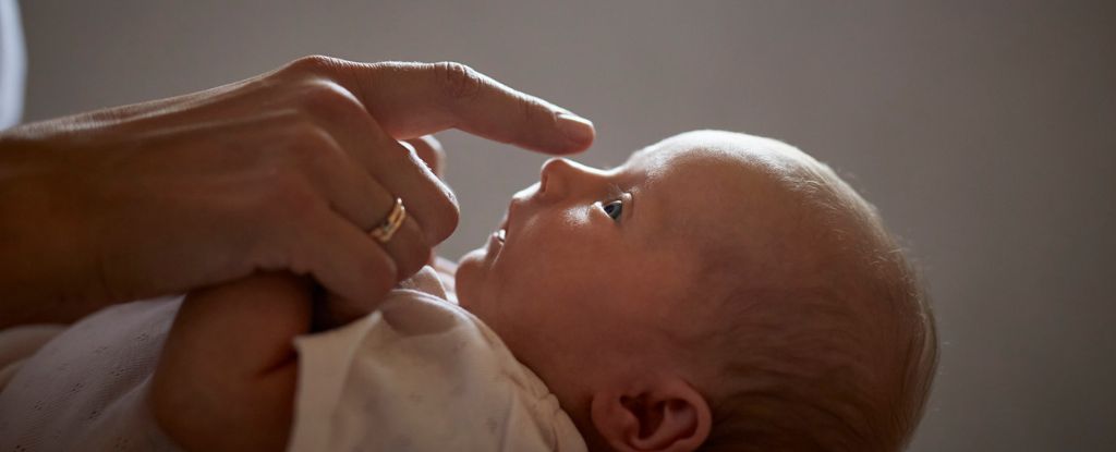 Featured image for Neanderthal Ancestry Linked to Human Nose Shape