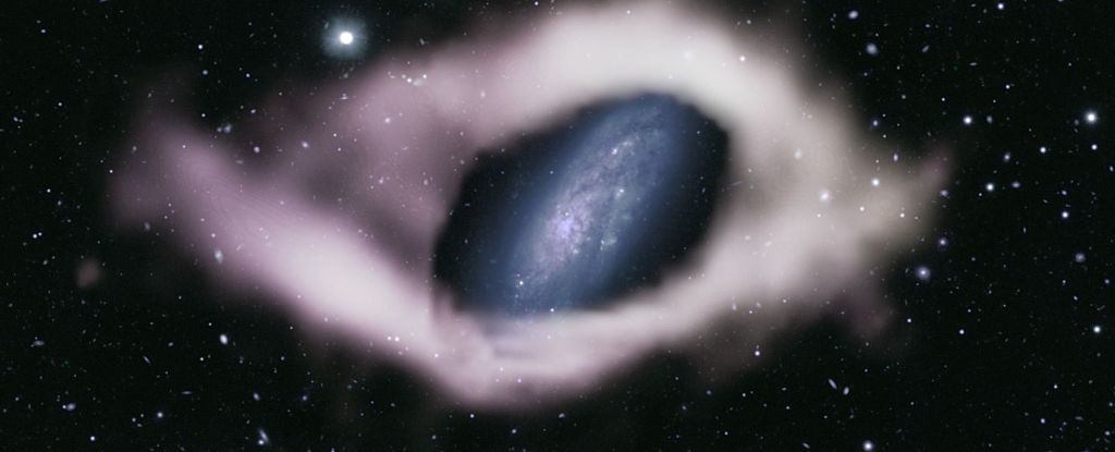Mysterious Cosmic Ribbons Unveil Rare Polar Ring Galaxies