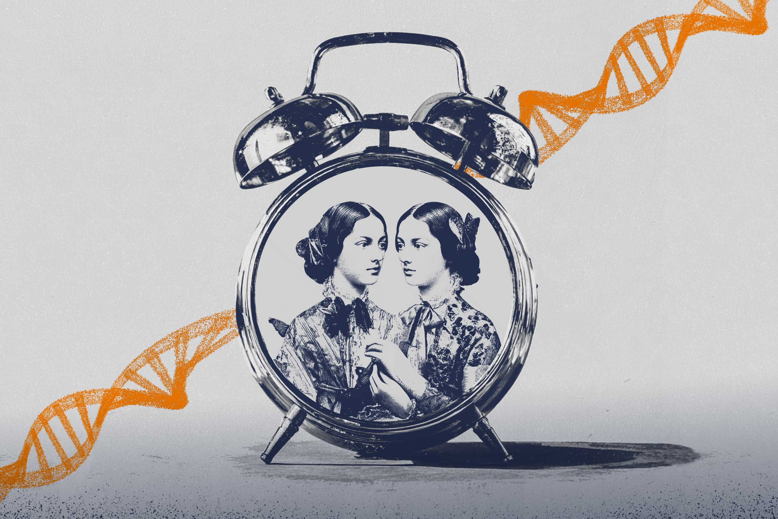 Featured image for UVA Twin Study Connects Rapid Aging with Memory Loss