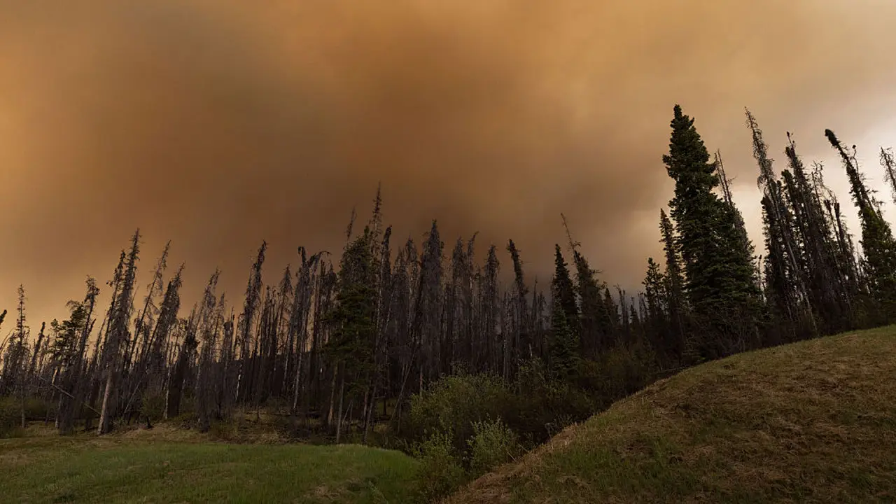 Wildfire Smoke from Canada Causes Air Quality Alerts Across North America