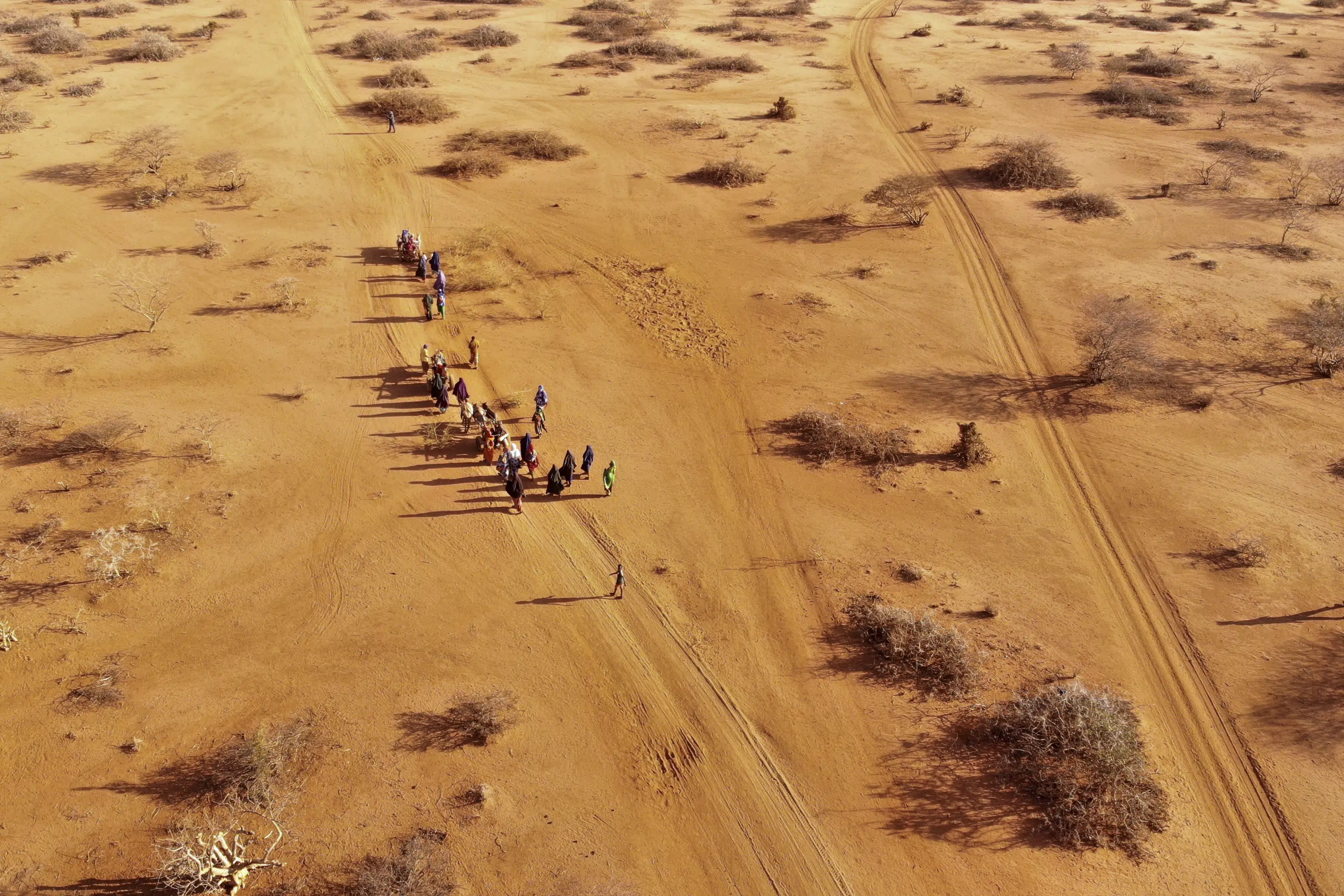 "Somalia Drought Claims 43,000 Lives: UN Report"