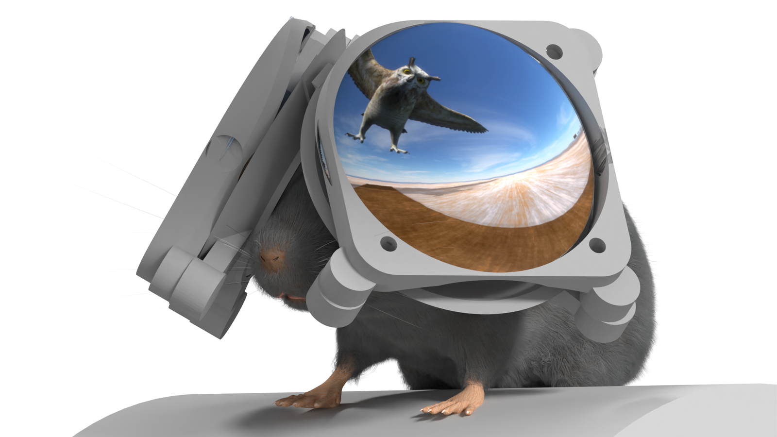 "Scientists Develop Adorable VR Goggles for Mice, Unlocking New Insights in Brain Science"