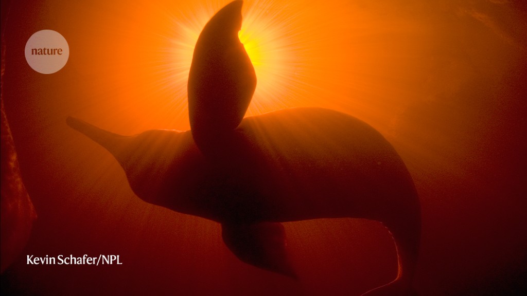 "Unlocking the Secrets of Human Evolution through Mammal Genomes"