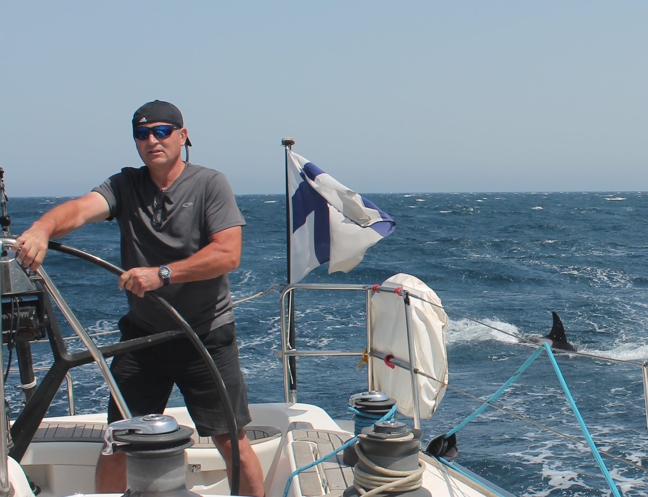 Featured image for Orcas' Aggressive Behavior Towards Ships and Sailors on the Rise.