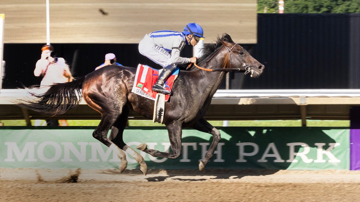 Featured image for "Monmouth Park's Haskell Day 2023: Stakes Results, Contenders, and Expert Picks"