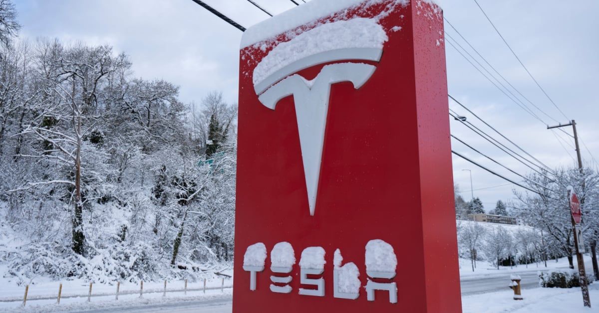 "Chilling Reality: Tesla Owners Face Cold Truth About EVs in Deep Freeze"