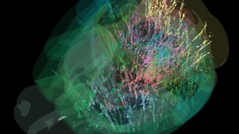 Featured image for Revolutionary Brain Map Reveals How Decisions Are Made