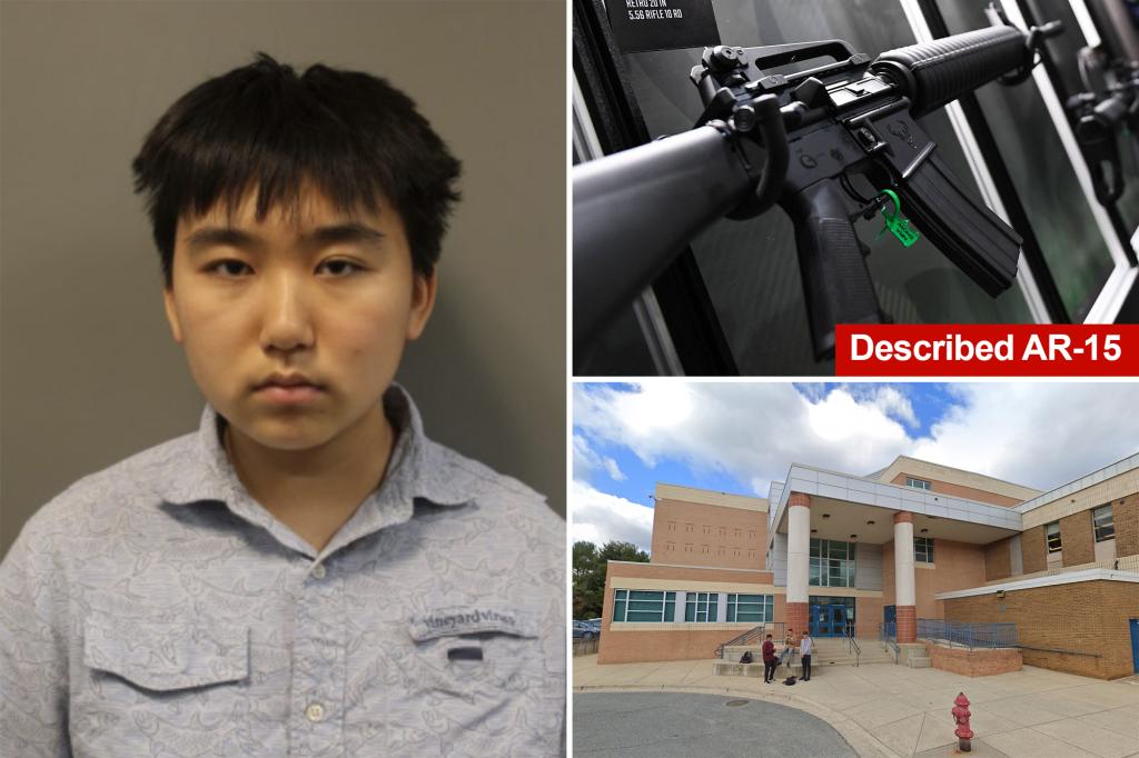 "Teen's Twisted Plot to Achieve Fame Through School Shootings Foiled by Police"