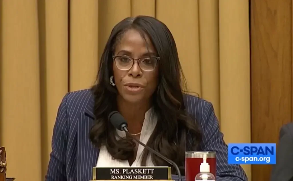 House Democrats appoint member to undermine hearings and attack whistleblowers