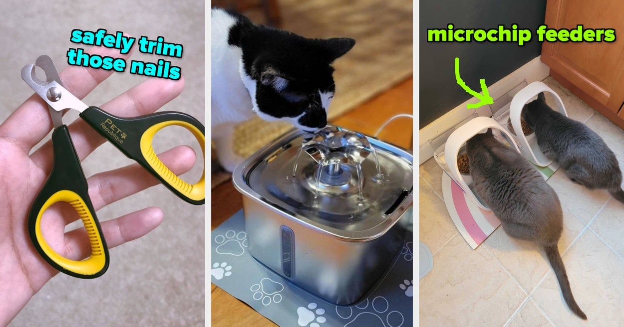 Featured image for 29 Must-Have Products for Multi-Cat Households