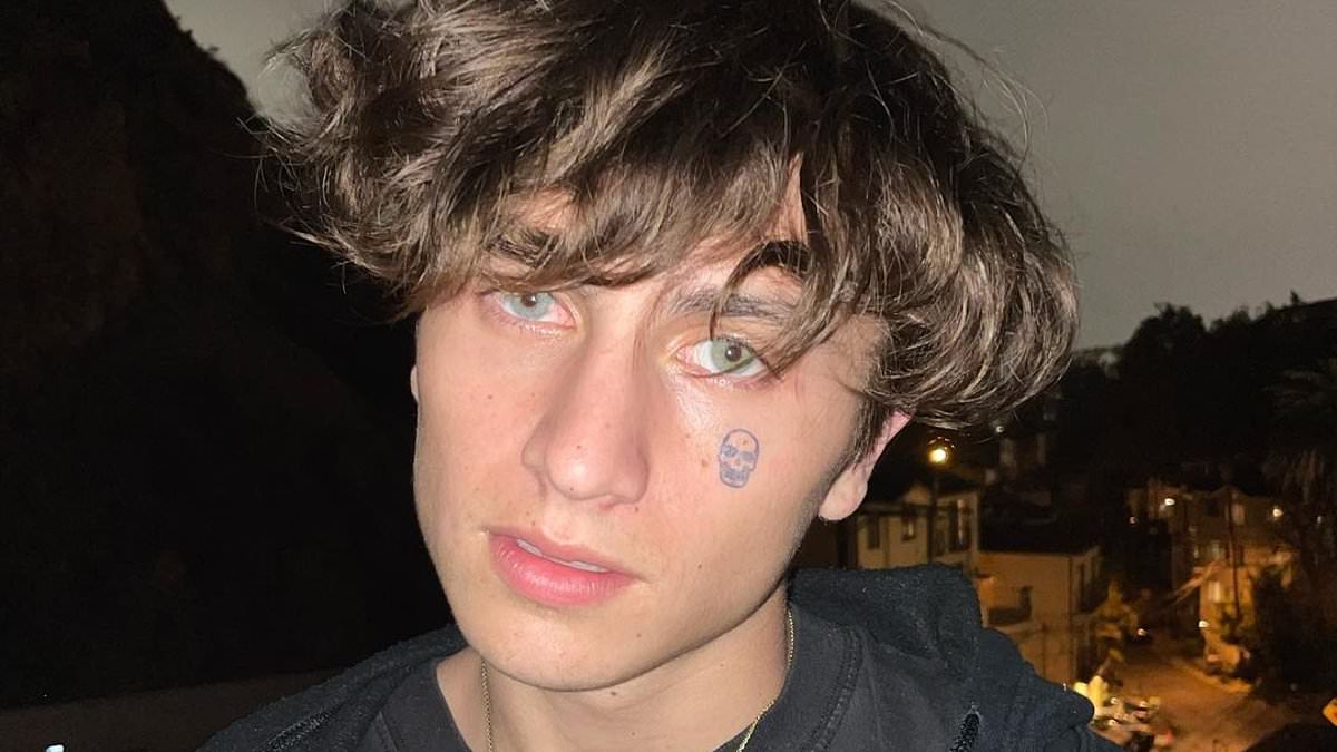 Arrests Made in TikTok Star Cooper Noriega's Fatal Overdose Case