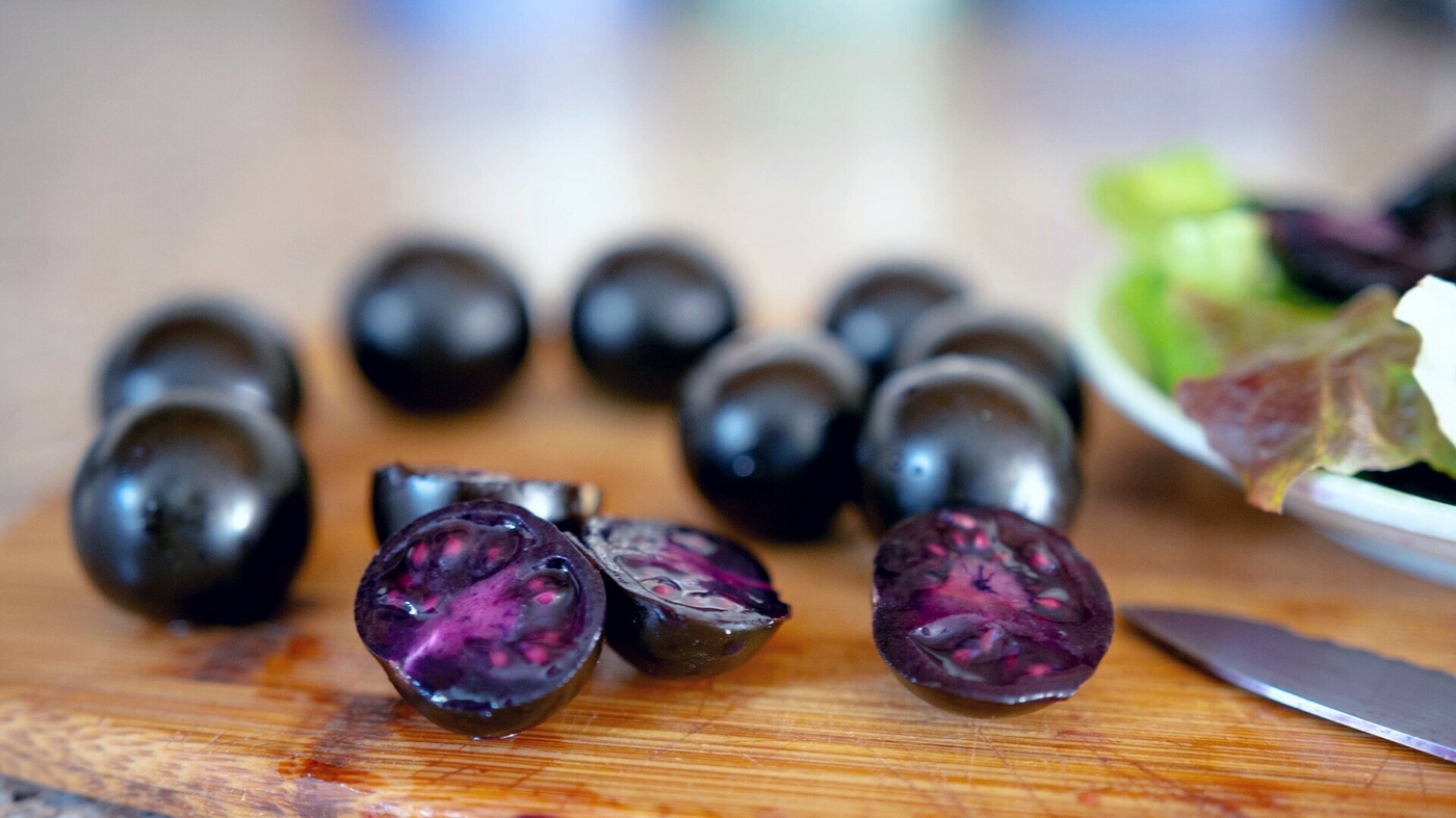 Featured image for "Home Gardeners Can Now Grow Genetically Modified Purple Tomatoes"