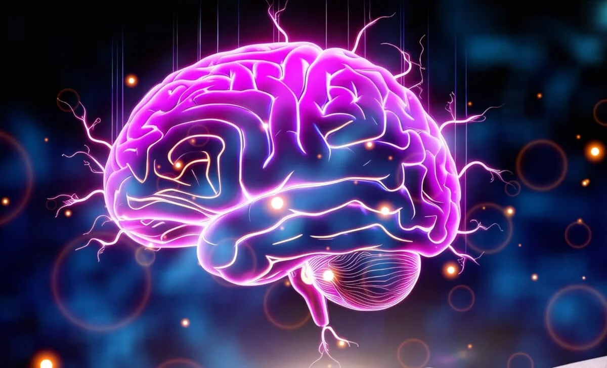 Lab-grown human brain cells steer rat behavior in a first-of-its-kind integration