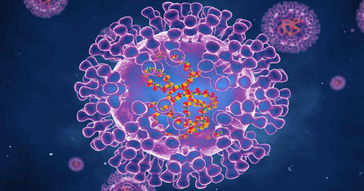 Featured image for "Health Officials on Alert as Pandemic-Potential Monkeypox Strain Discovered in Congo"