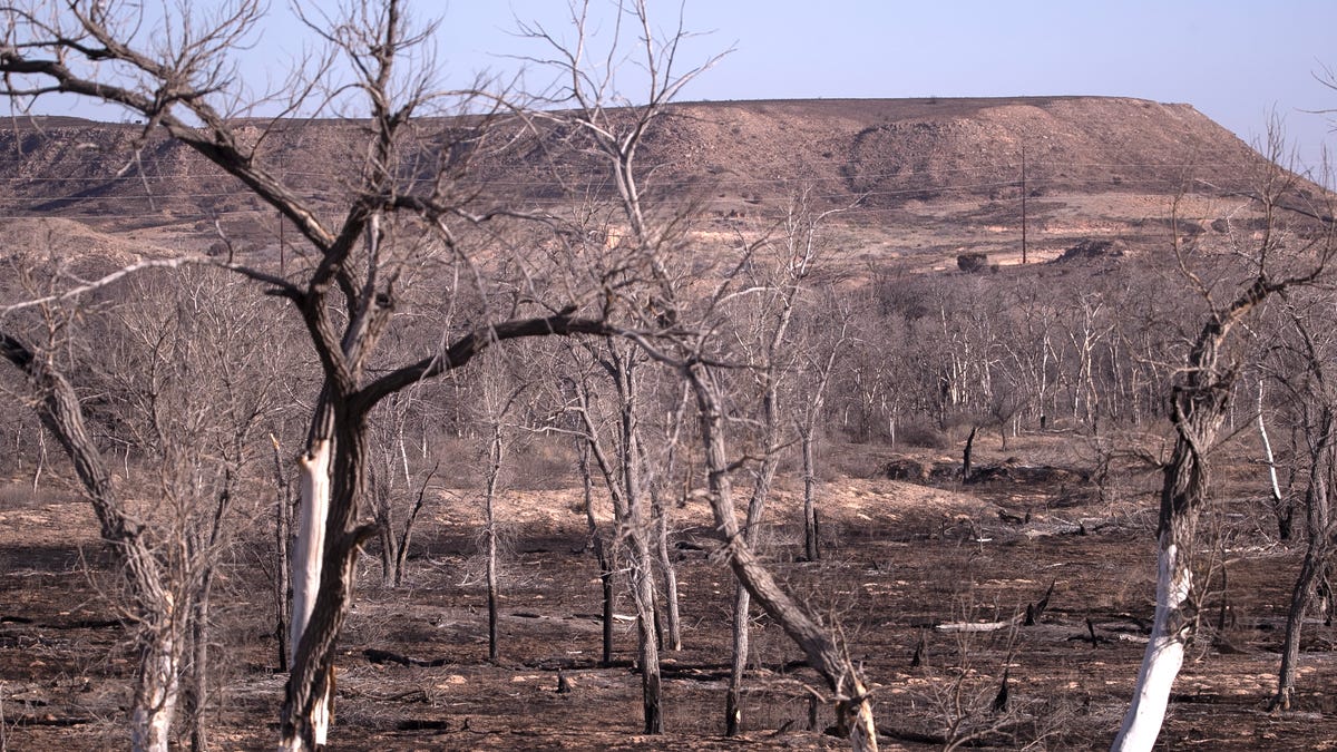"Xcel Energy's Involvement in Texas Wildfire Confirmed"