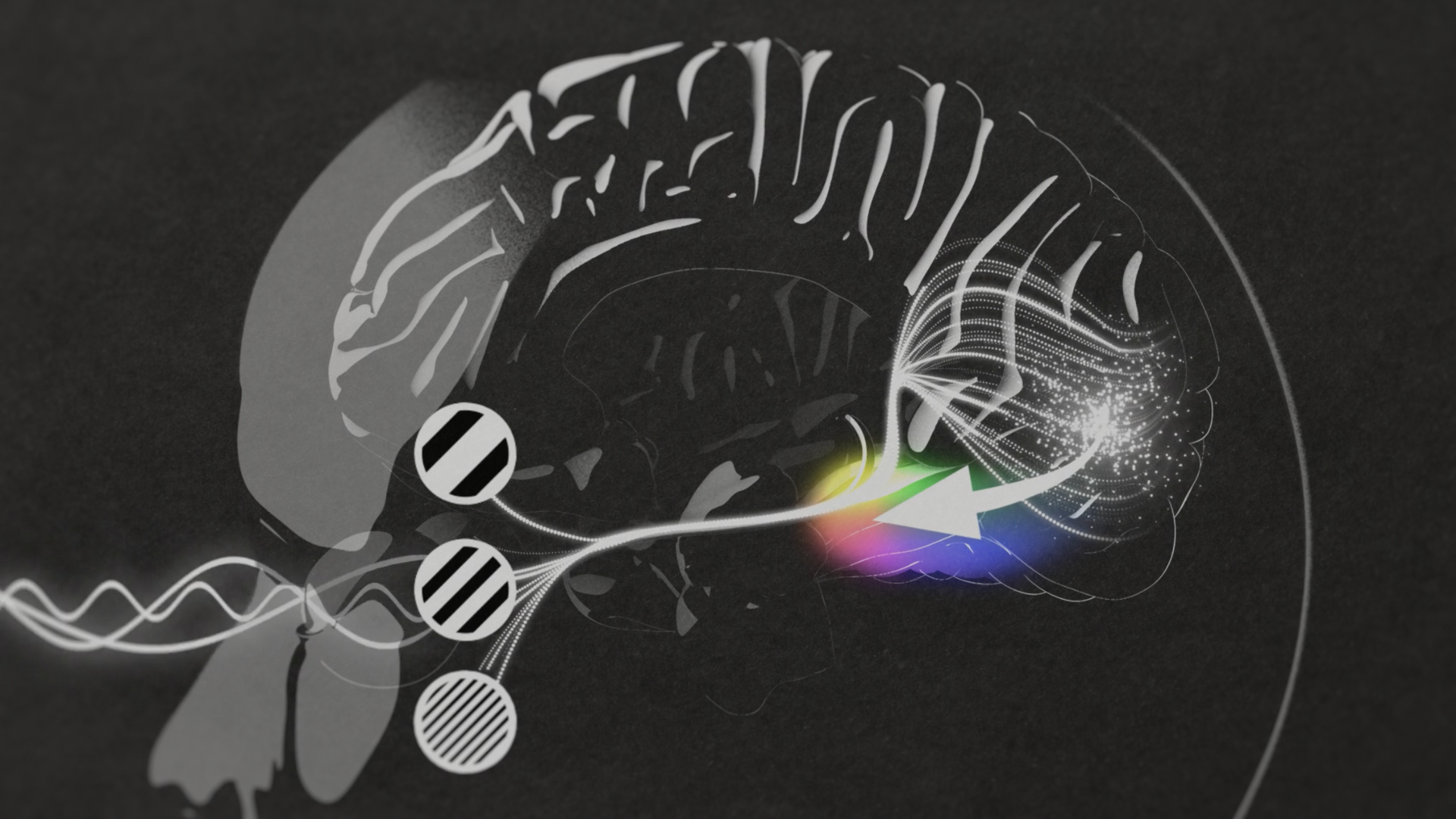 "9 Must-Watch NOVA Documentaries on Human Genius"