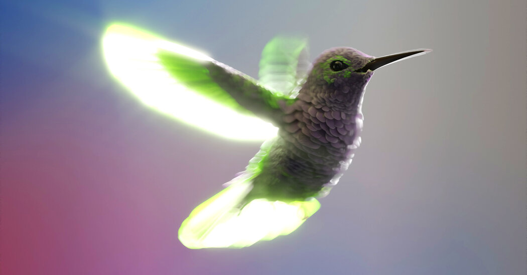Featured image for Hummingbird Flight Insights Could Revolutionize Drone Design