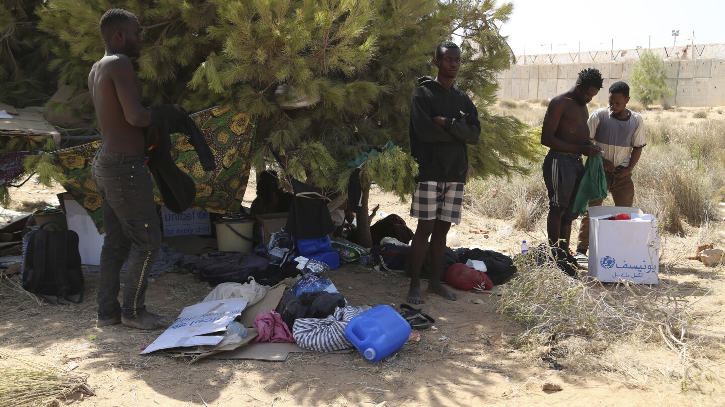 Featured image for Tunisian Minister Acknowledges Forced Migration into Desert No Man's Land