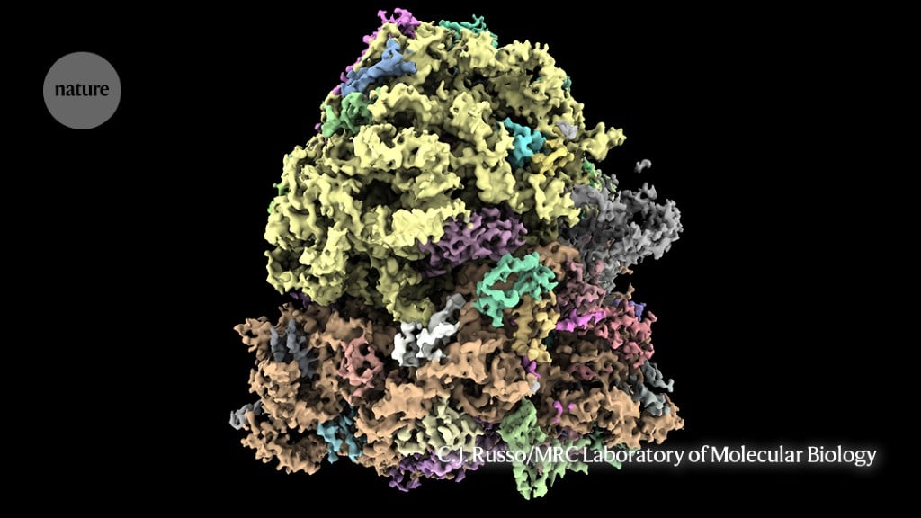 Featured image for "Rapid Protein Mapping Achieved with Affordable Electron Microscope"