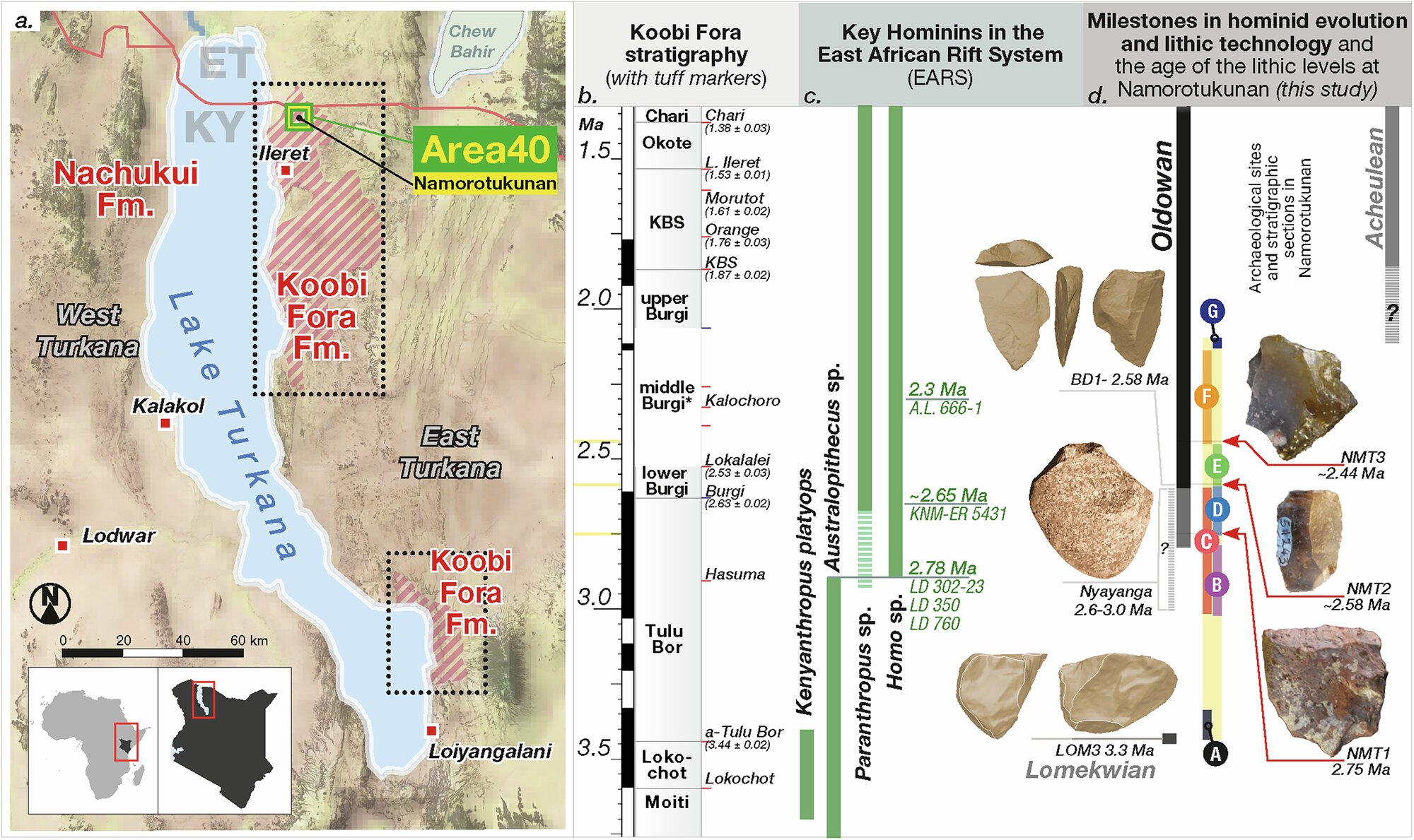 Featured image for Ancient Stone Tools Signal Key Evolutionary Milestone