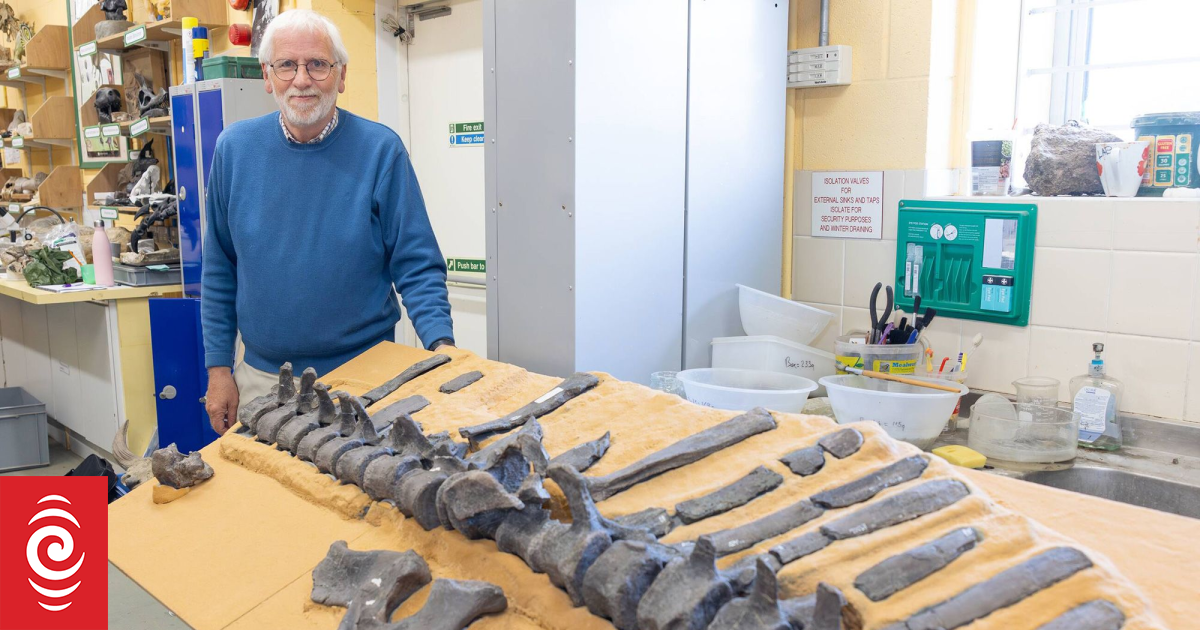 Featured image for New Dinosaur Species with Sail-Like Back Discovered