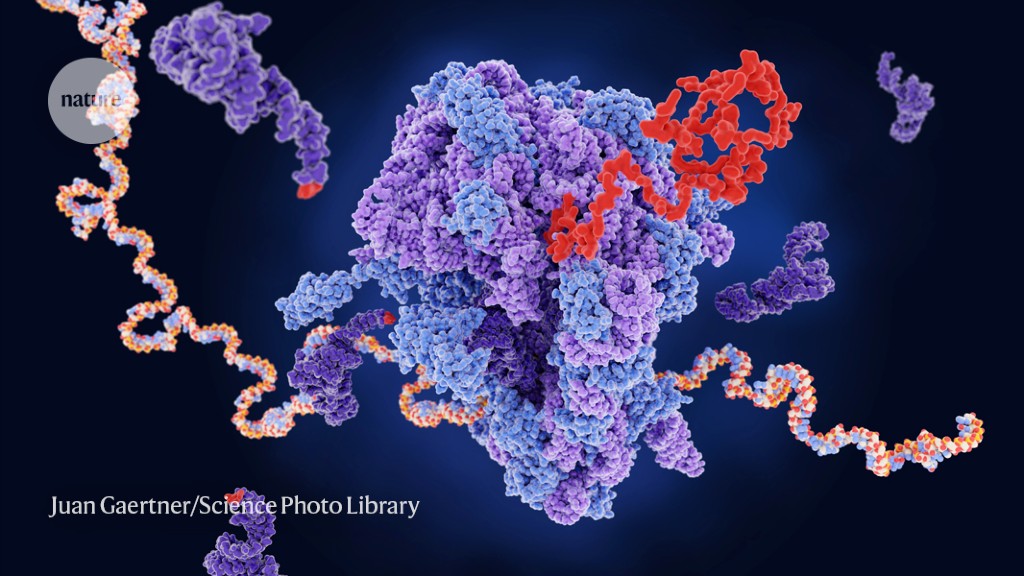 Featured image for "Genetic Hacking: Empowering Proteins with New Abilities"