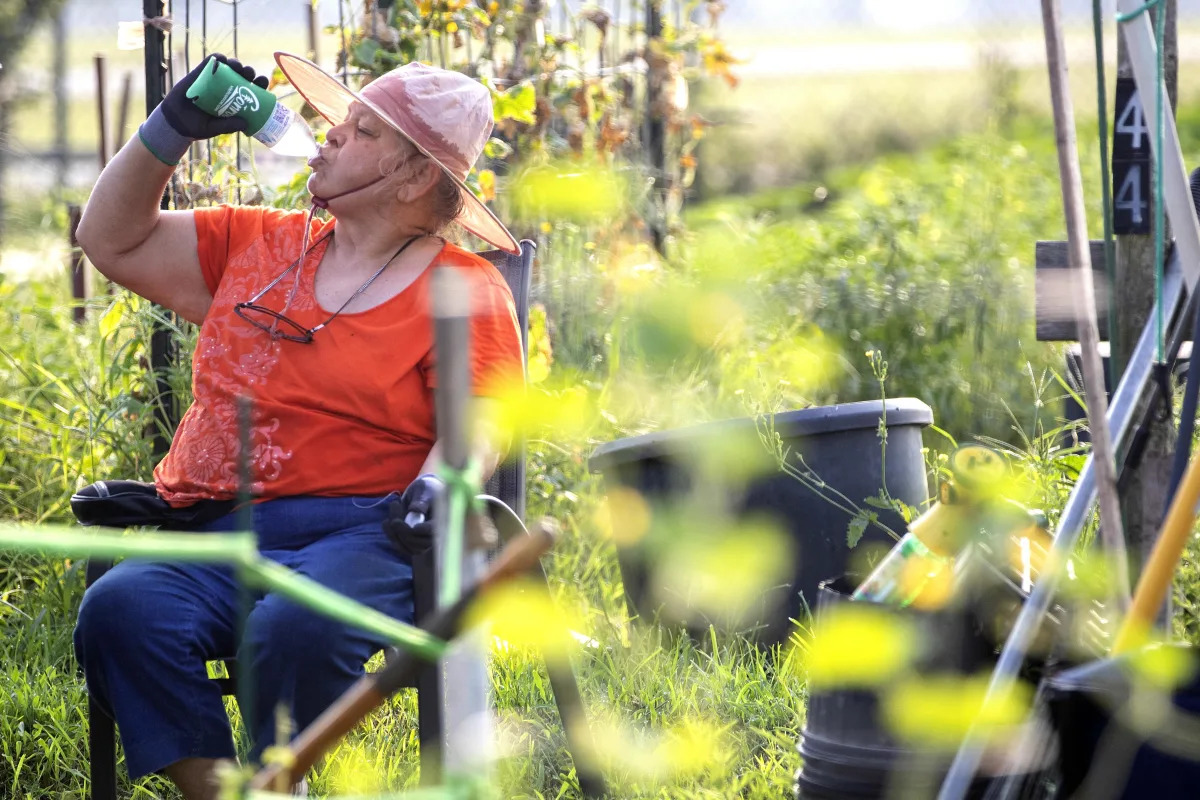Texas Braces for Worsening Heat Wave, Puts Millions on Alert.