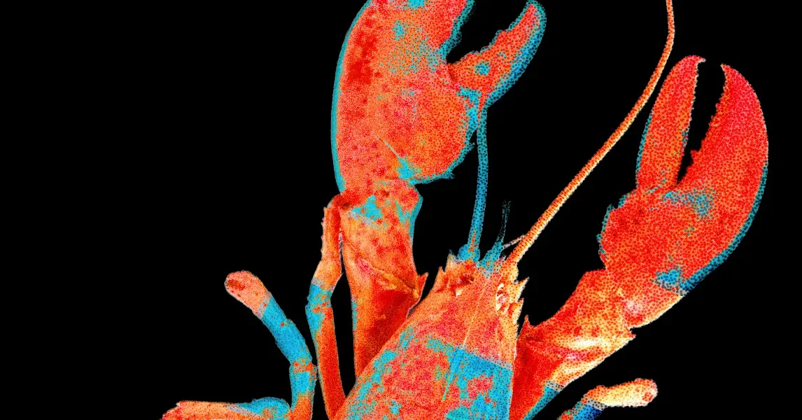 Moltbook Flaw Exposes Thousands of Emails and API Keys on AI-Only Network