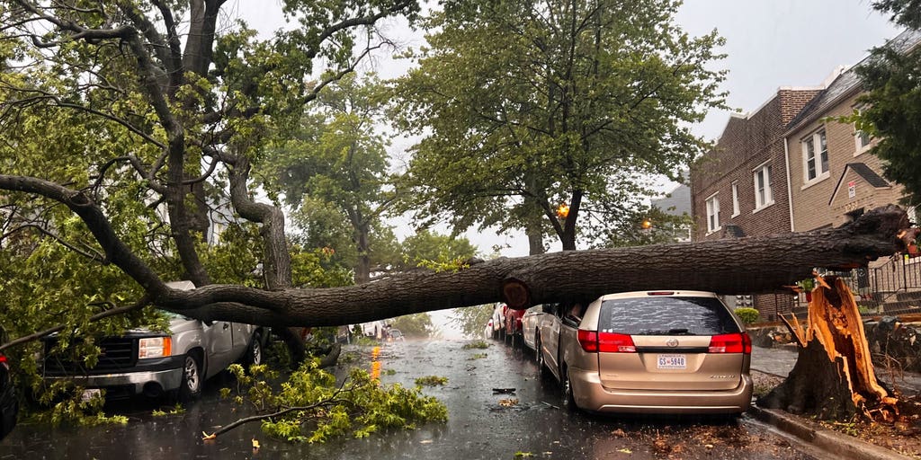 Storms Ravage Washington, Leaving Thousands Without Power and Destruction in Their Wake