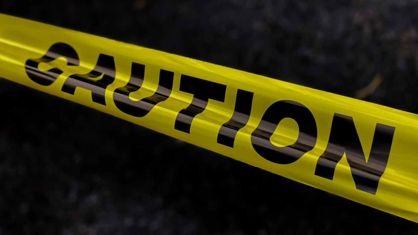 Brother saves sister from kidnapping with slingshot in Michigan.