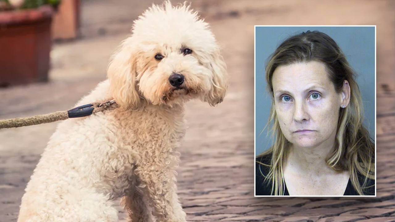 Featured image for "Arizona Woman's Horrific Discovery: Dozens of Dogs Kept in Squalor, Some Found Dead in Freezer"